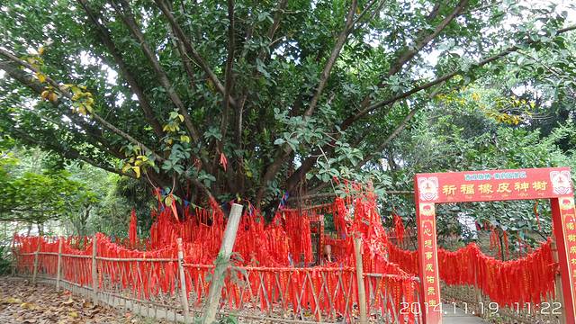 西双版纳南药园景区