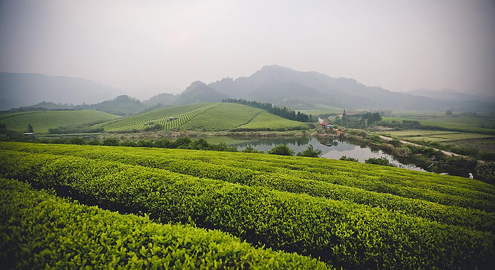 "其实九峰景区还有温泉等项目，也挺适合去看看的~你在拍风景的同时，成为了我眼中的风景_九峰山风景区"的评论图片