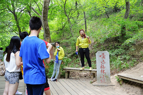 大青沟旅游景点攻略图