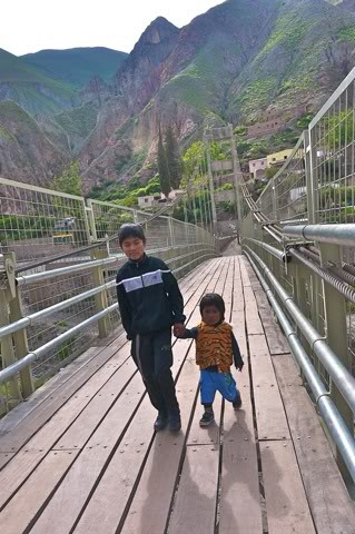 世界如果没有可卡因图片