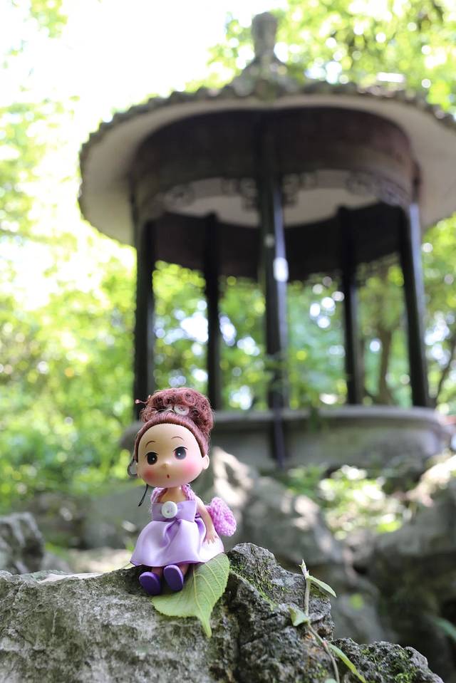 十八棵（老龙井）御茶园(老龙井店)