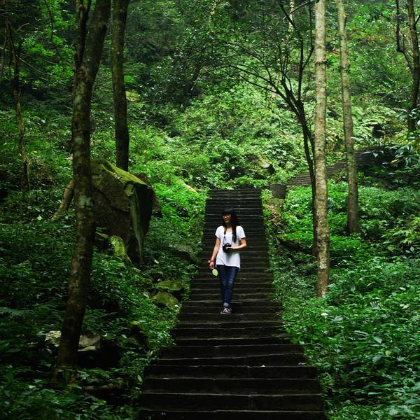 2024乱窜坡门票,张家界乱窜坡游玩攻略,乱窜坡游览攻略路线/地址/门票