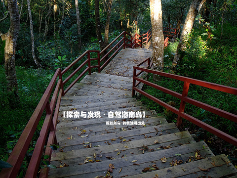 五指山雨林谷漂流旅游景点图片