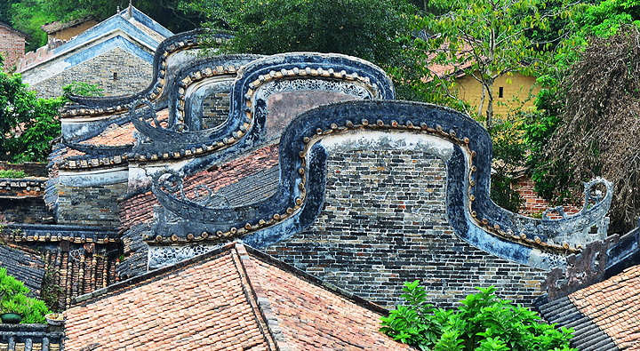 二三月份是德庆玉龙寨赏花最好的时候,万亩一望无际的辽阔田野,春季万
