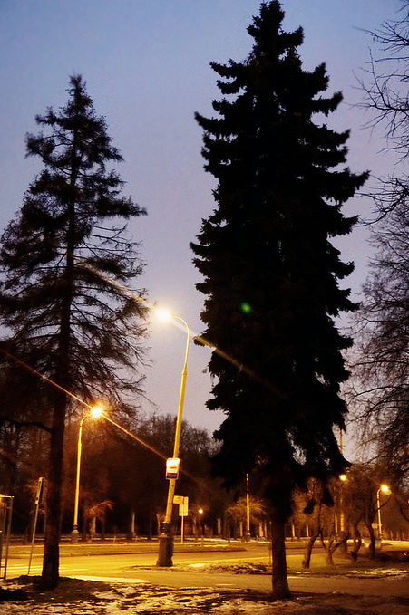 莫斯科大学图片