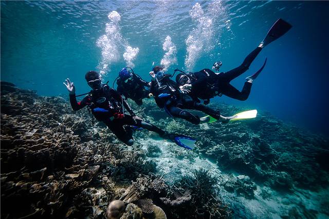 敦沙卡兰海洋公园