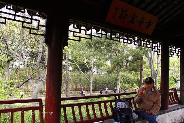 心心念念苏州城,我为你而来