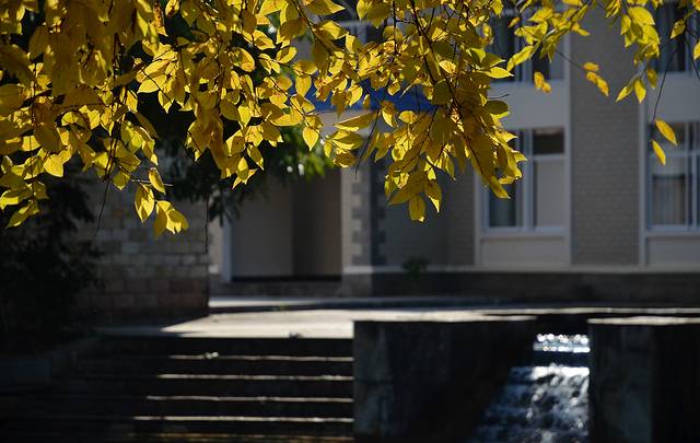 十万大山国家森林公园