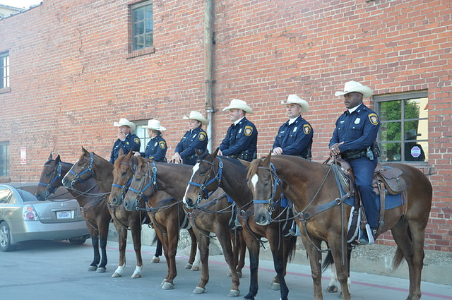 我去了fort worth附近的stockyards station,据说是牛仔文化的发源地