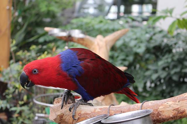 南宫世界地热博览园