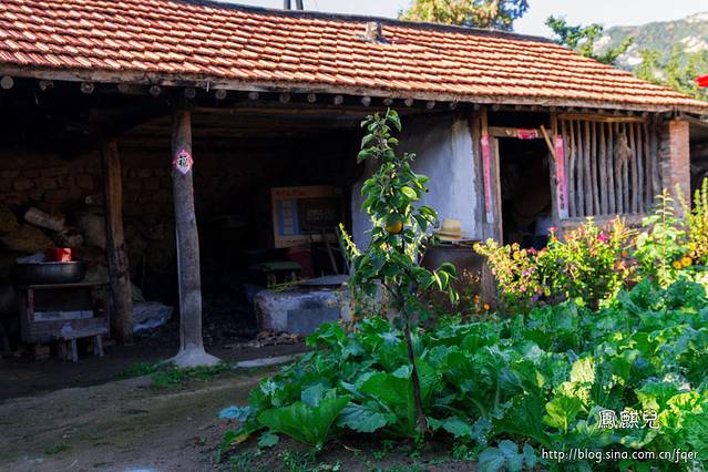 杨守宽农家院