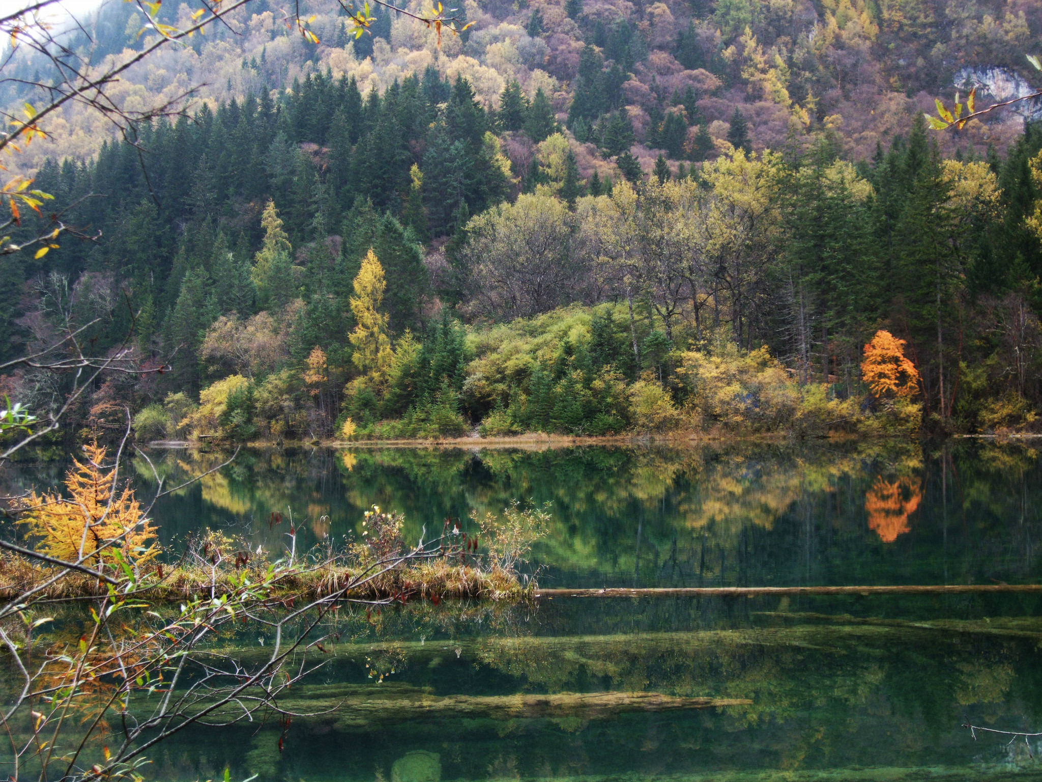 天鹅海与芳草海的下游相连,广阔的湖面大部分已淤积成浅滩,半为沼泽