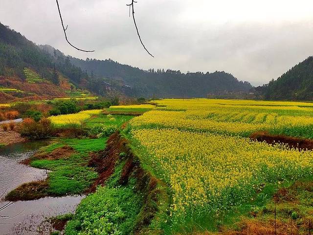 通道芋头古侗寨