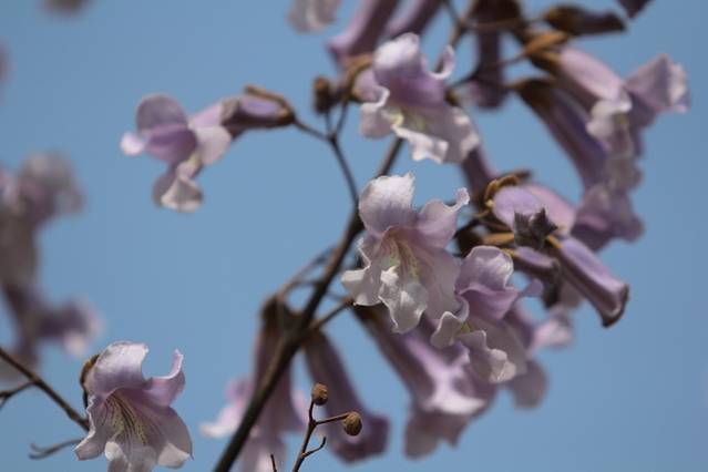 白沙湾中心浴场