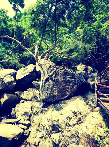 2017梦幻谷最经典的项目就叫踏瀑戏水_呀诺