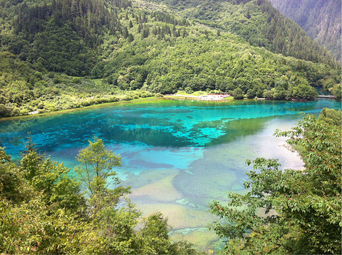 九寨沟-五花海旅游景点攻略图