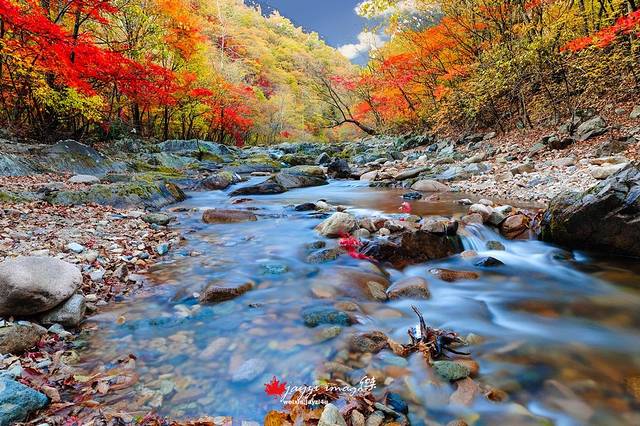 蒲石河森林公园