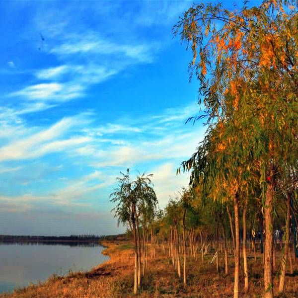 腾格里沙漠湿地