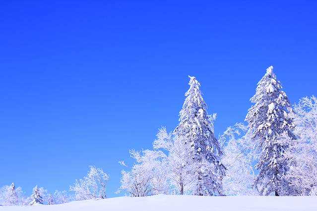 雪乡狗熊岭景区
