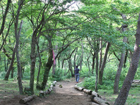 水自然休养林旅游景点图片