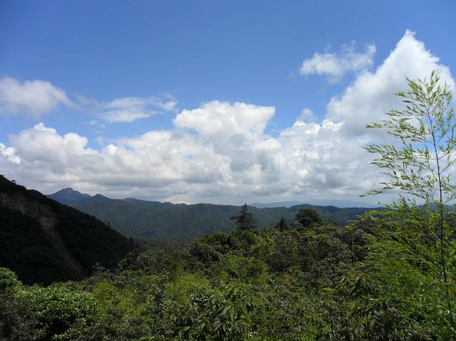 莽山国家森林公园