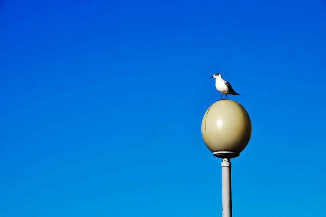 莱茵河滨江大道