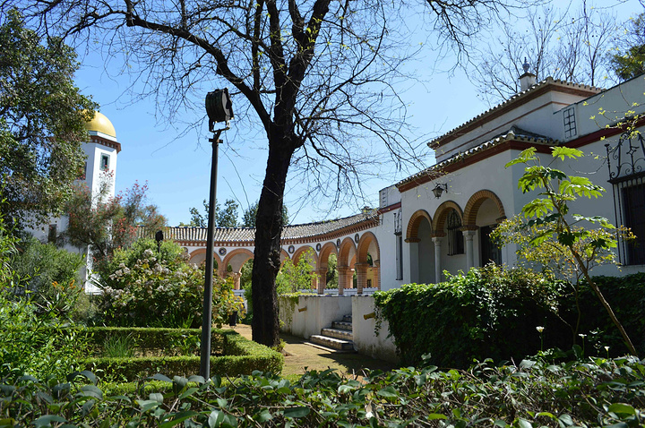 2017六人骑车,超好玩。每个参观的人关注点都