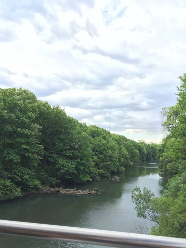 布朗克斯动物园