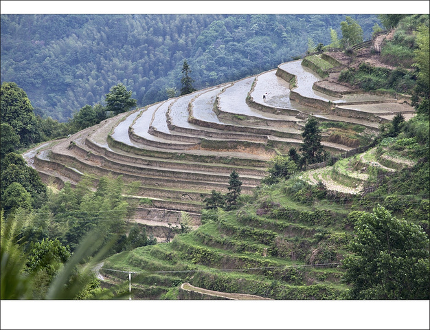 江西省崇义县丰州乡小坑村