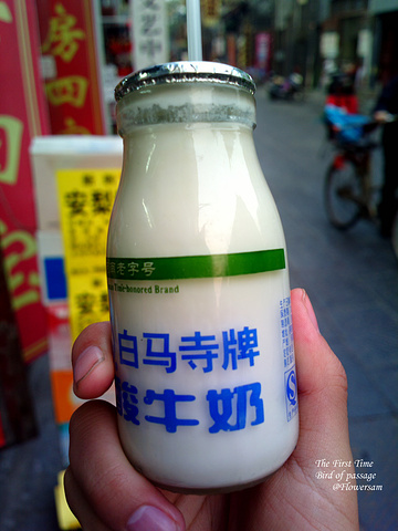 没去中国第一家官办寺庙"白马寺",但酸牛奶不能少.