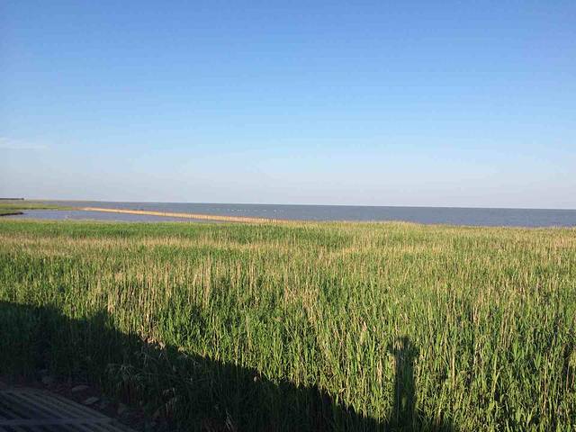 崇明岛国家地质公园