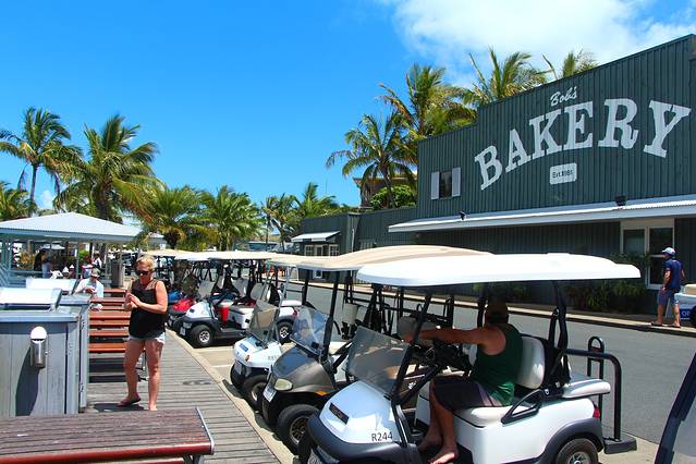 与三美女同游汉密尔顿岛