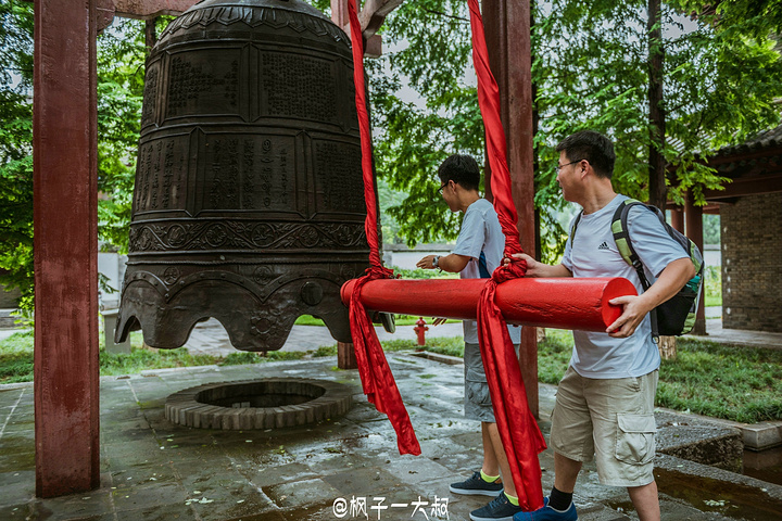 "由文物展馆区、小雁塔以及荐福寺为核心的历史名胜区、园林游览区三部分组成_西安博物院"的评论图片