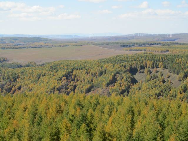河北省塞罕坝机械林场总场大唤起林场