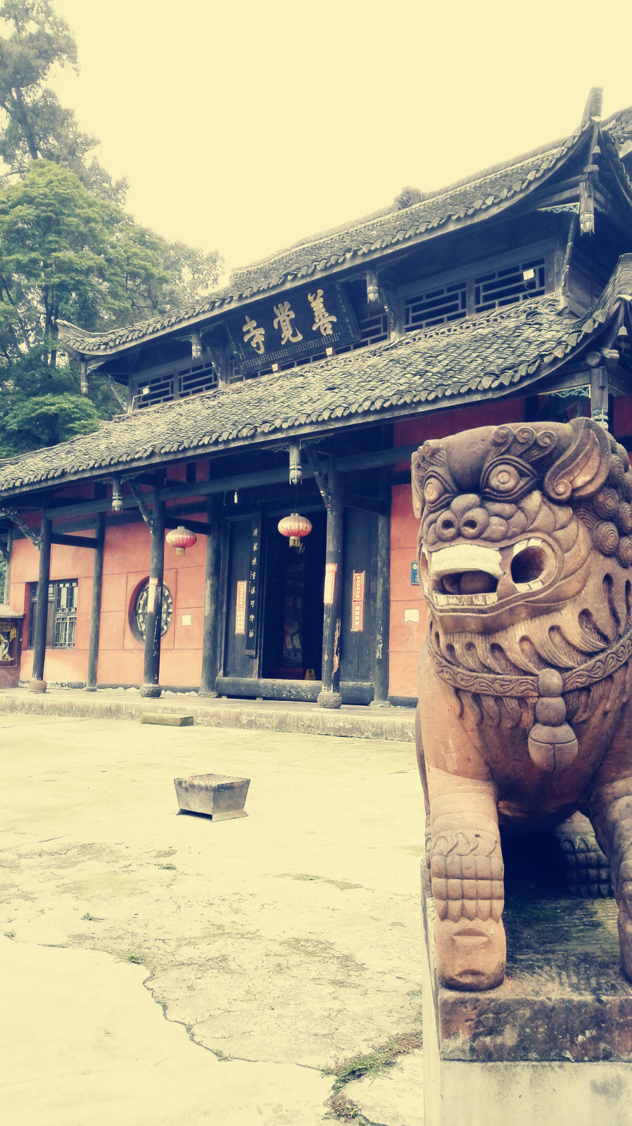 从公路的登山口爬到善觉寺,约40分钟路程.