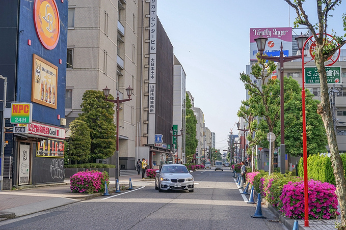 樱花国吃货召集令 日本美食记 京都旅游攻略 游记 去哪儿攻略