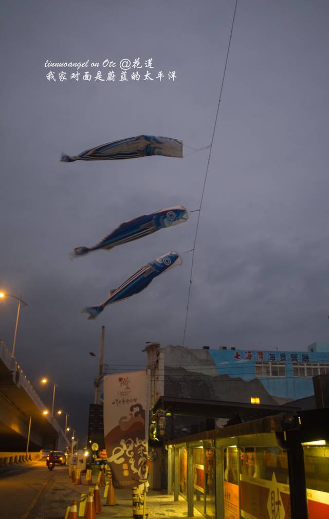 七星柴鱼博物馆