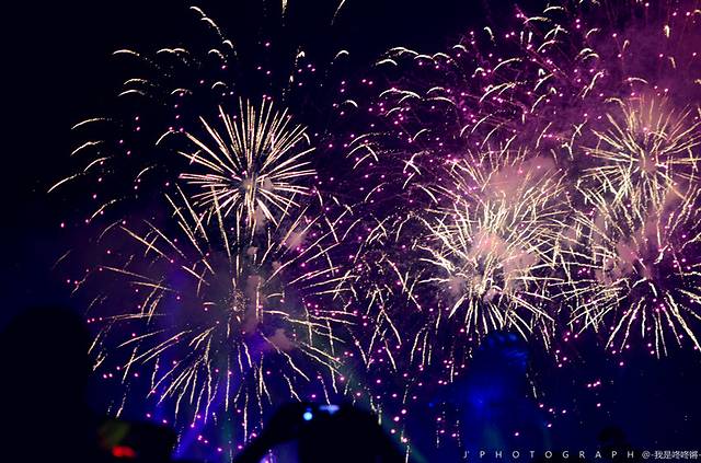 【樱花国吃货召集令】如果爱情就像鱼和水