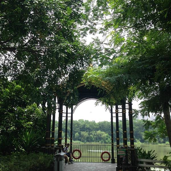 2019荷兰花卉小镇门票,深圳荷兰花卉小镇游玩