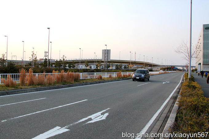 春日 古都巡礼 观光记 东京旅游攻略 游记 去哪儿攻略