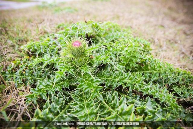 蛇头山纪念公园