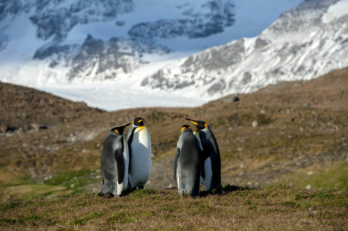 圣安德鲁斯海湾图片 圣安德鲁斯海湾图片