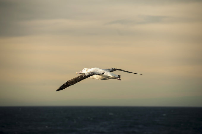 在海上图片 在海上图片