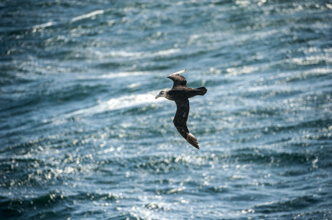 一场海洋生物的盛会图片 一场海洋生物的盛会图片