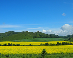 带着一家老小的拉练旅程--自驾呼伦贝尔