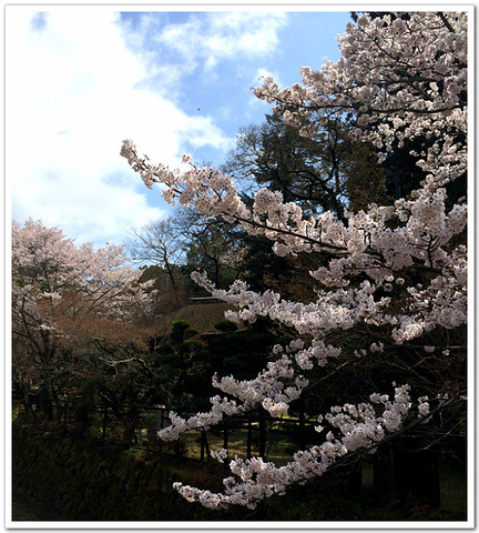 宫岛的商业街有很多特别和风的商店