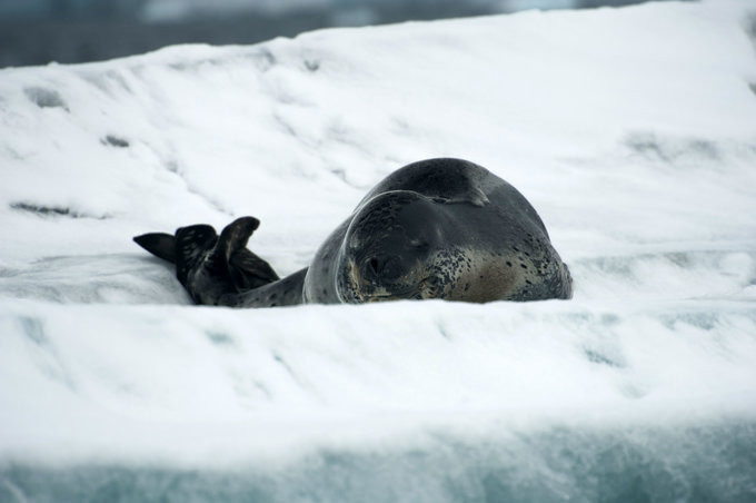 天堂港图片 天堂港图片