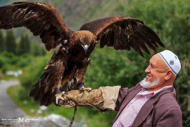 2014新疆16天带着孩子游走天山(上)