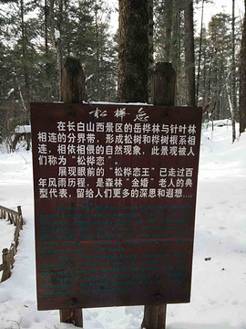长白山大峡谷旅游景点攻略图