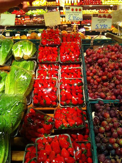 瞻仰圣地之以色列约旦探秘游